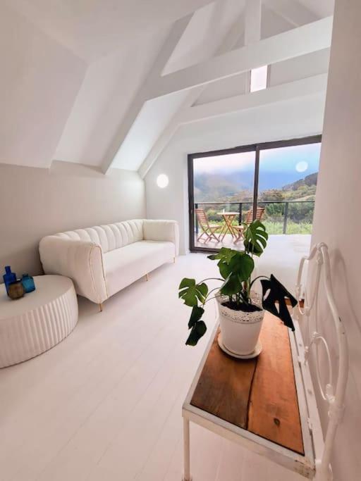 Bestplaceever-luxury Two-story With Vineyard Views * Cape Town