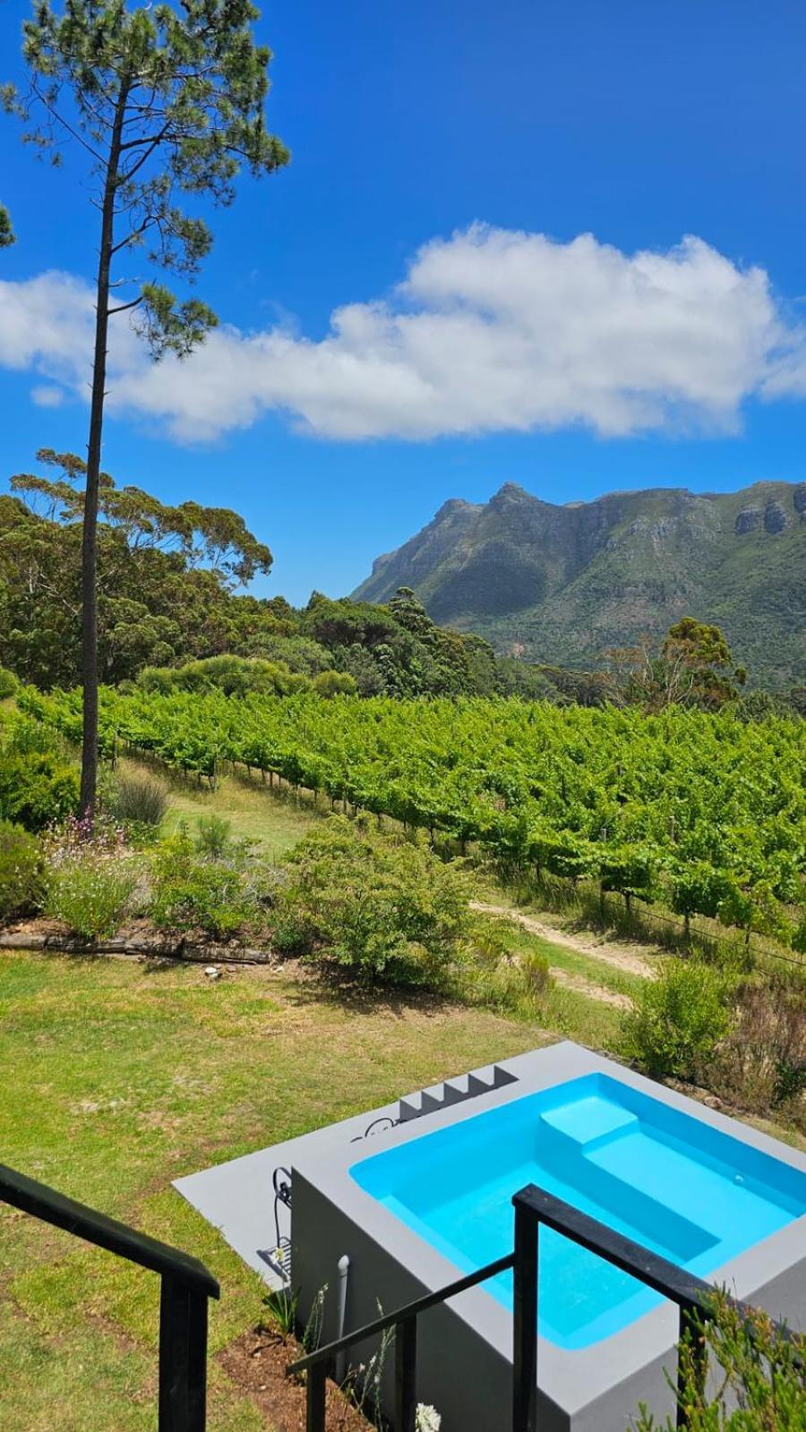 Apartment Bestplaceever-luxury Two-story With Vineyard Views Cape Town